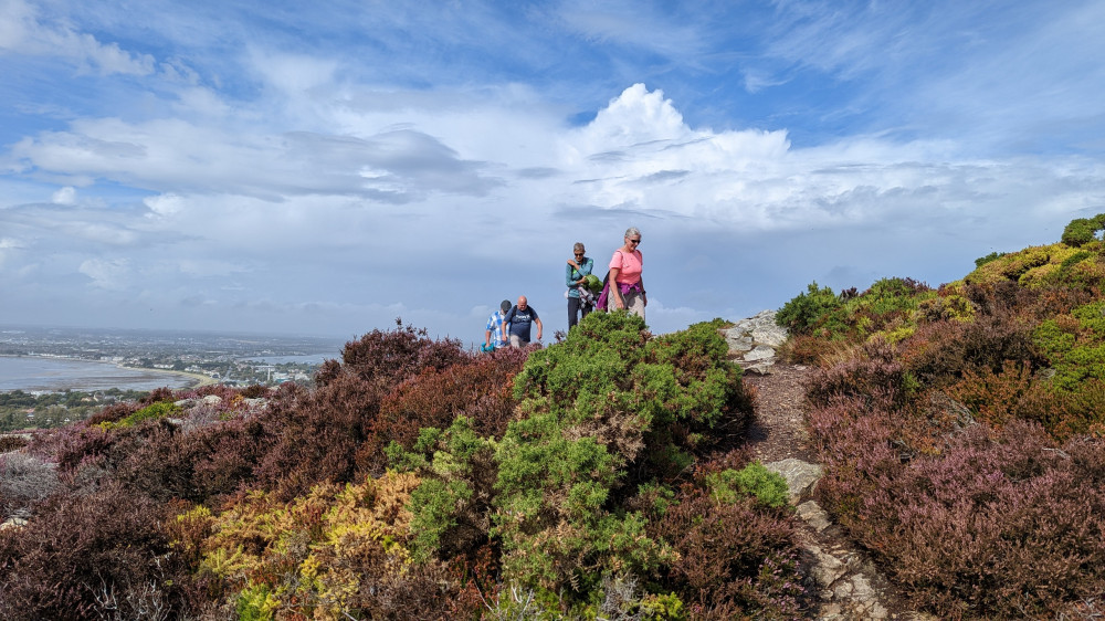 Hiking Tour in Howth