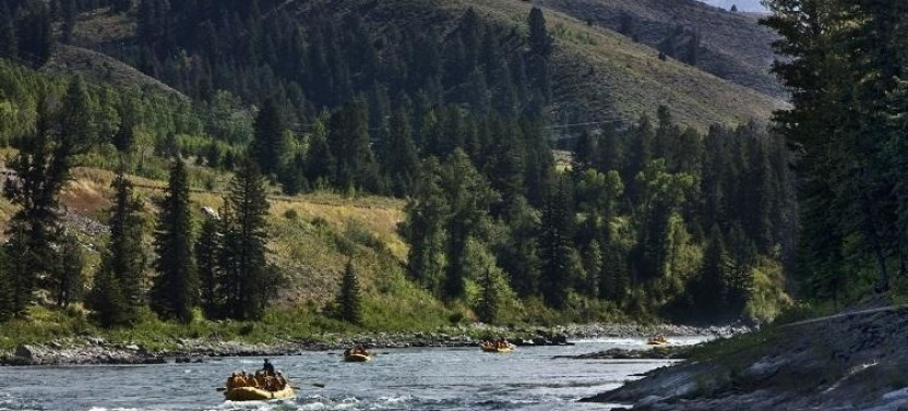 Snake River Afternoon Lunch Float with Private Option