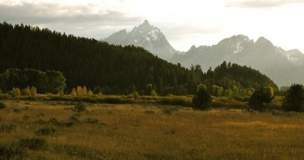 Grand Teton Tour - Half Day with Private Option