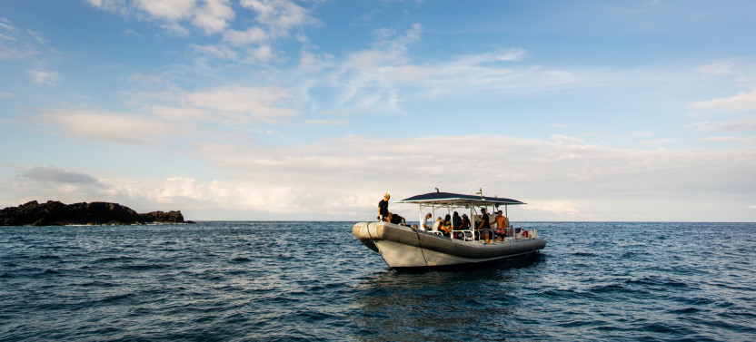 Super-Raft Snorkel - AM