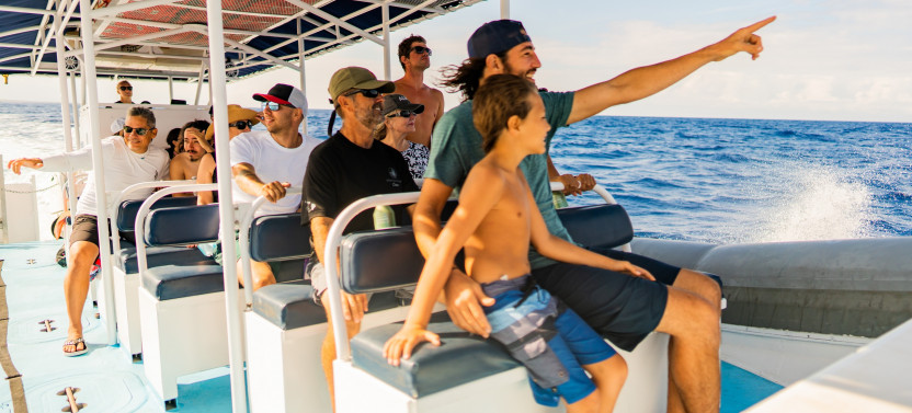 Super-Raft Whale Watch