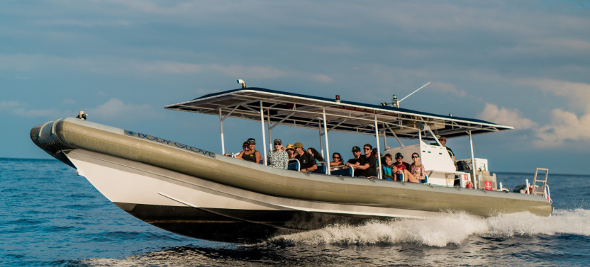 Super-Raft Whale Watch
