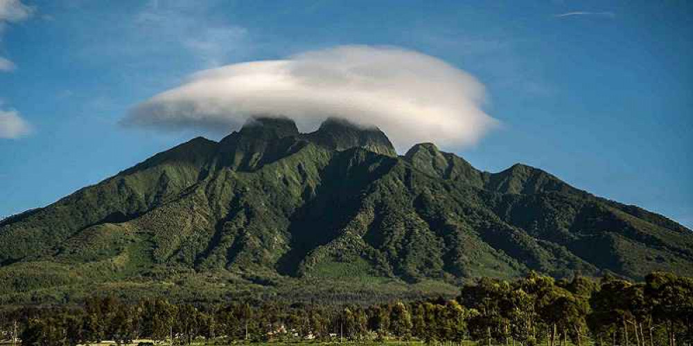 10 Day Hike - The Virunga Ranges