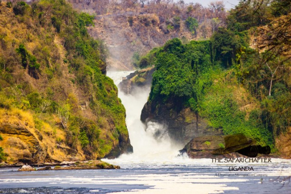 Safari Adventure in Uganda