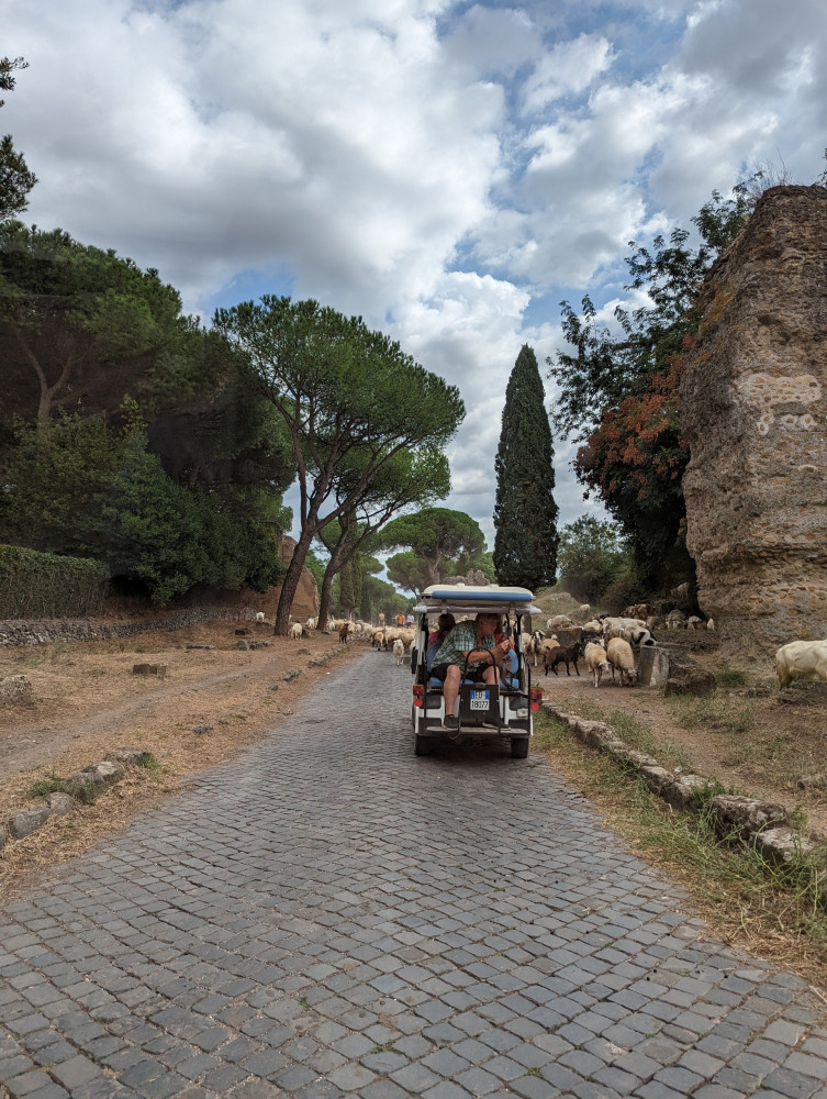 EcoBike Rome