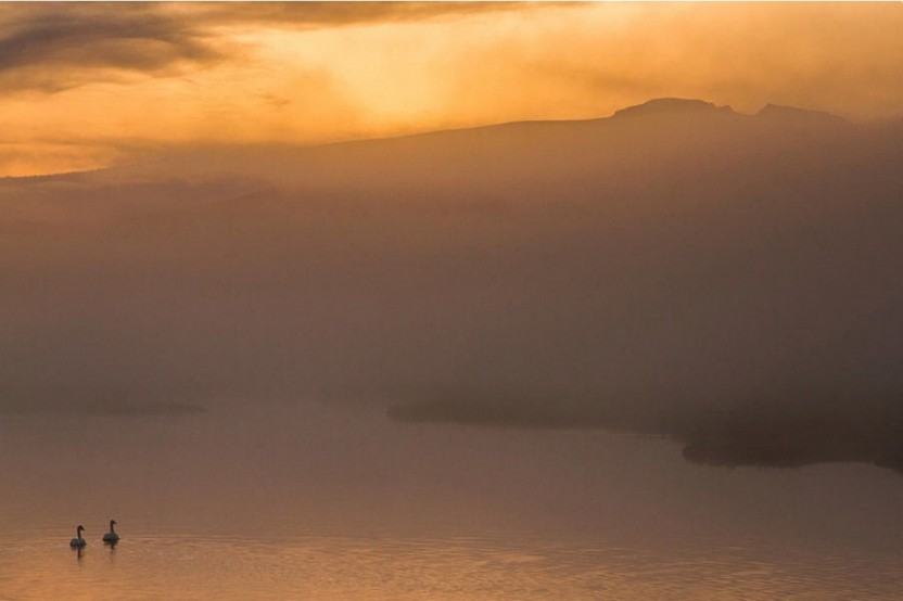 Sunrise Tour In Grand Teton National Park