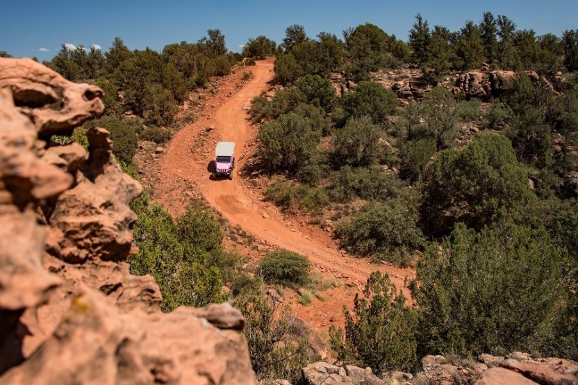 Diamondback Gulch Jeep Tour