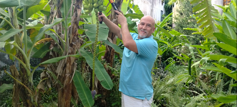 Modern Puerto Rican Cooking Class in a Historic San Germán Home