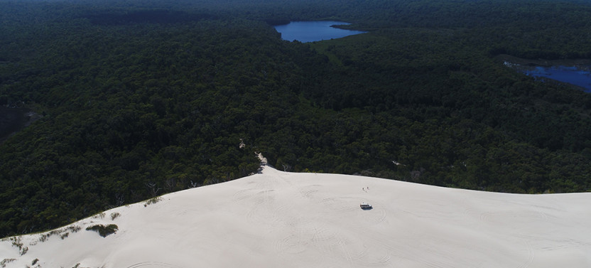 Beach & Forest Eco Adventure