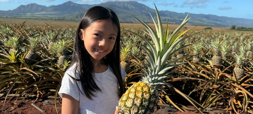 Oahu - North Shore Dole Pineapple Farm Tour