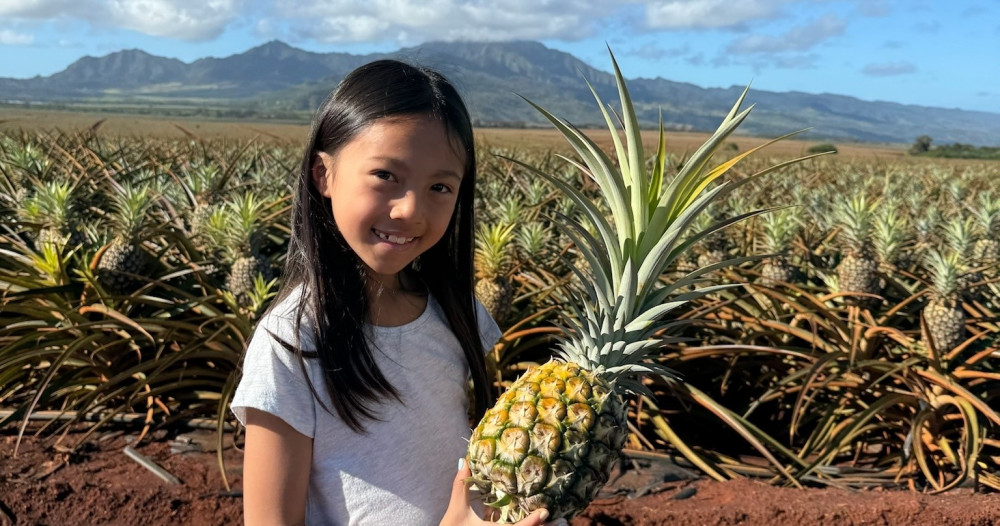 pineapple farm tour oahu