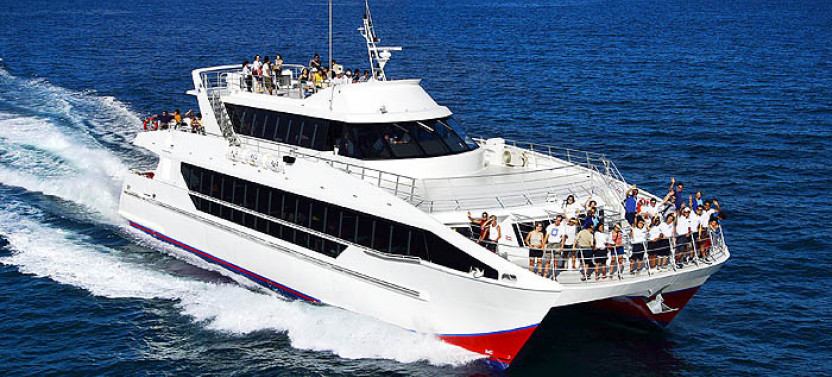 Whale Watching Adventure