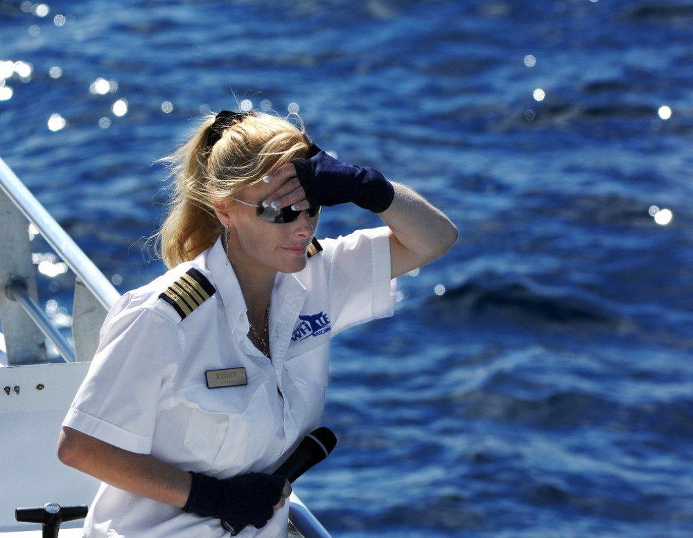 BRISBANE WHALE WATCHING