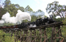 Oceania Tours14