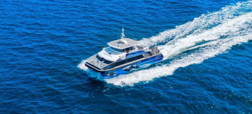 Dunsborough Whale Watching Eco Tours