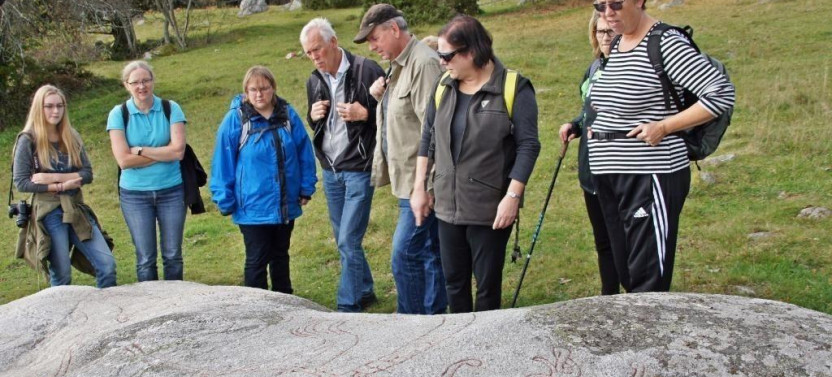 Private Viking History Tour | Full Day