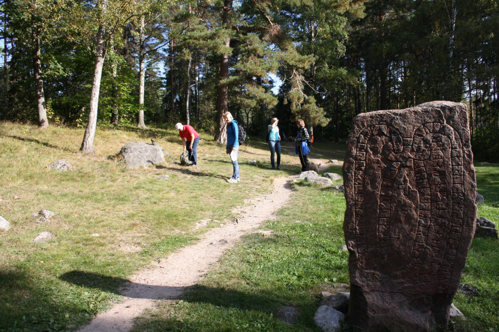 1 Hour Expert Guided Viking Tour in Runriket Close to Stockholm