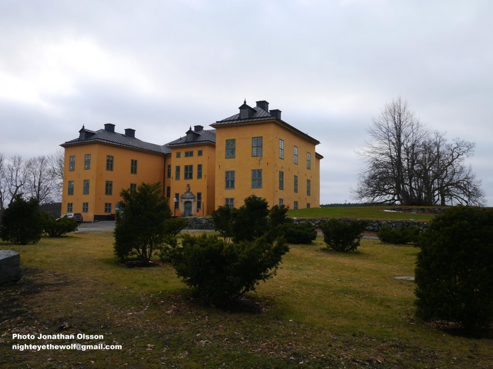 Public Swedish Royal and Nobility Castle Tour