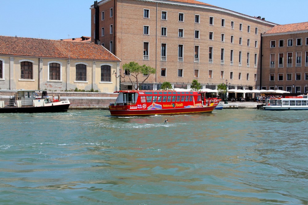 Sightseeing Experience Project Expedition