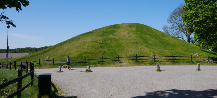 The Viking and Vendel Era Tour of Old Uppsala, 90min