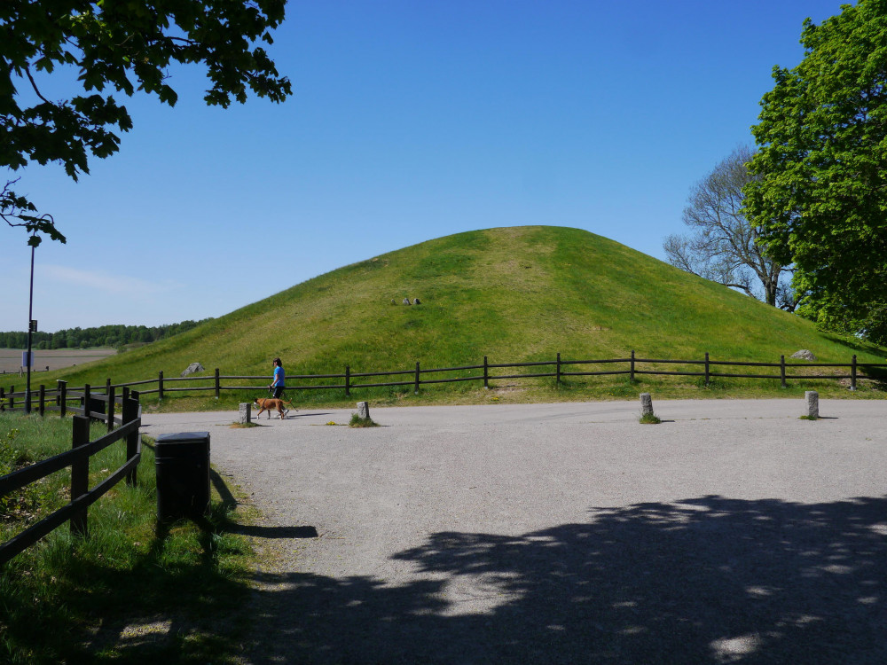 The Viking and Vendel Era Tour of Old Uppsala, 90min