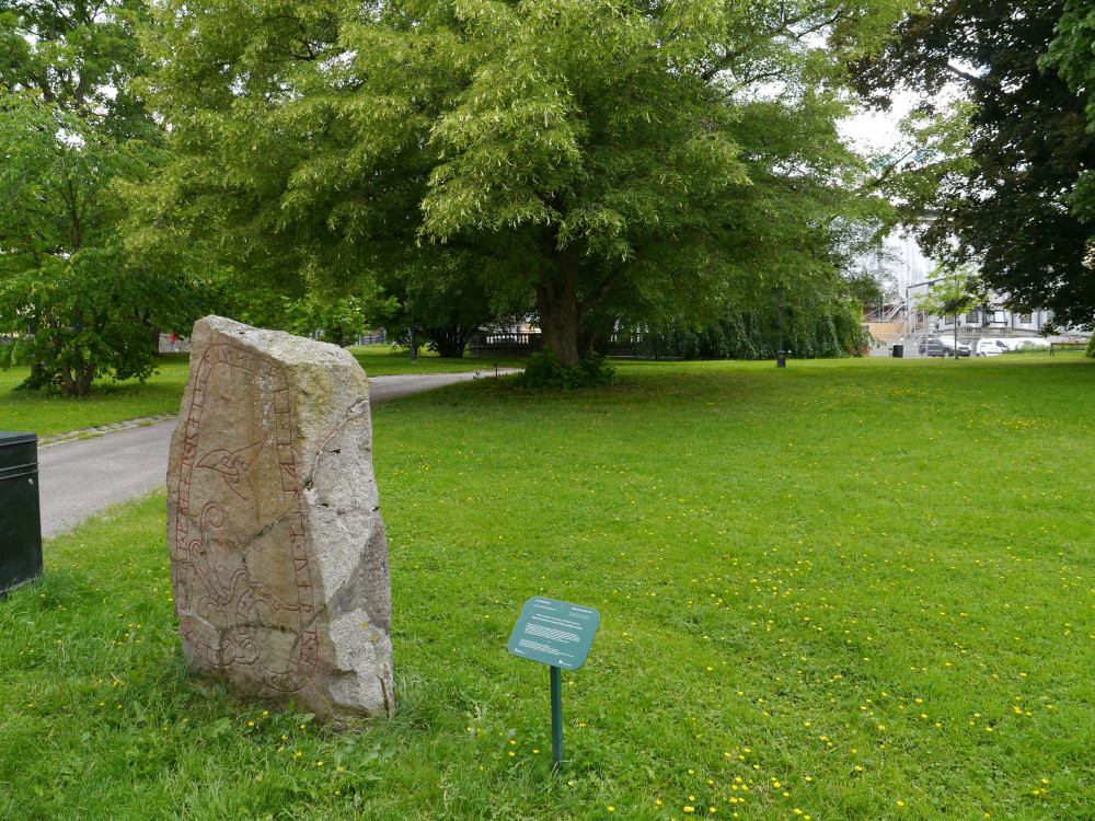 Runes and Rune Stones in Uppsala, 1h City Walk