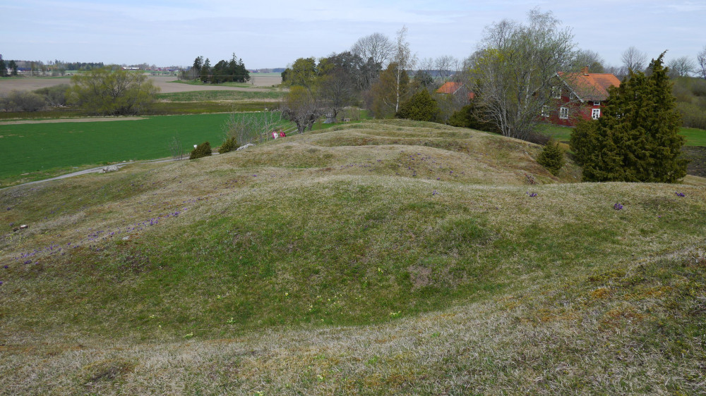 Valsgärde Grave Field Tour - A Viking Boat Burial Cemetery 1h