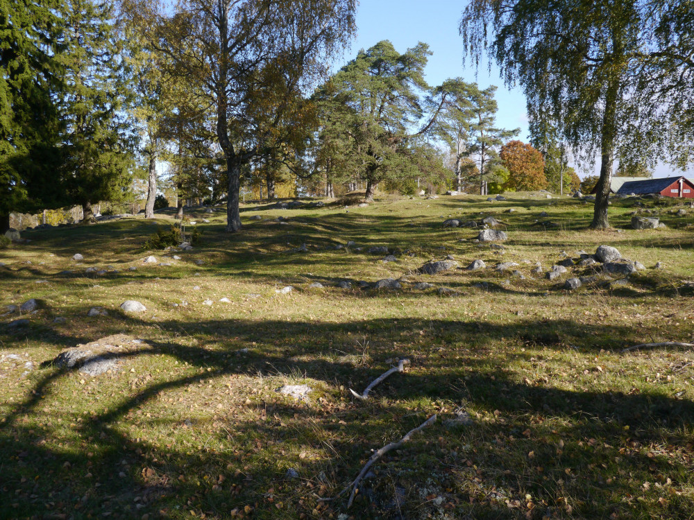 Nature and History Tour of the Angarnsjöängen Bird Lake Area