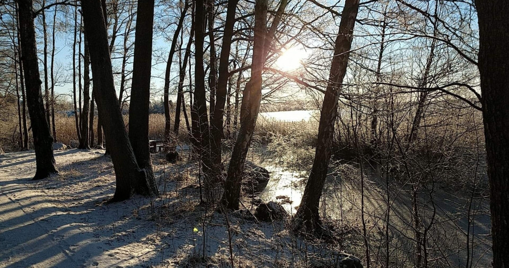 History Walk in “The Runic Kingdom” - See Runriket's Best