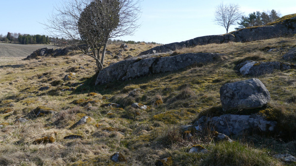 Guided Bike Ride - Viking Age, Bronze Age and Church History in Markim