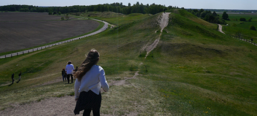 Viking Period and Vendel Period Tour of Old Uppsala, 1.5 h