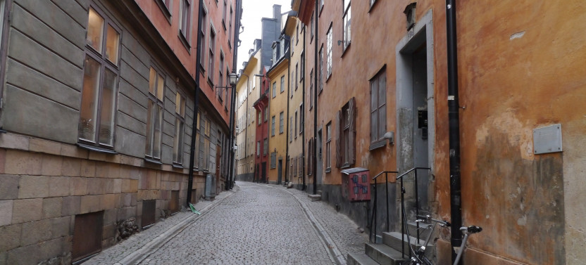 Private Deluxe Stockholm Walking Tour with Local Pastry + Guide at Vasa