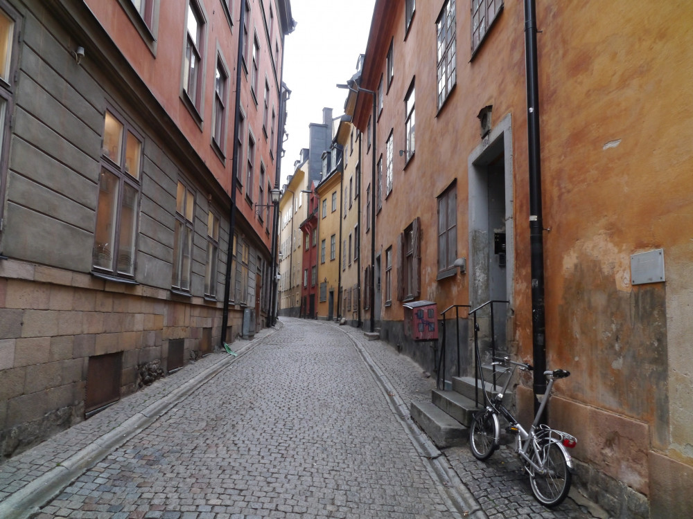 Private Deluxe Stockholm Walking Tour with Local Pastry + Guide at Vasa