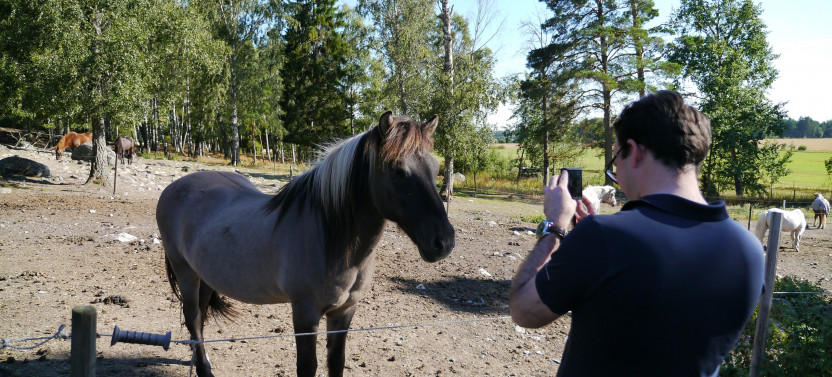 Countryside Shops, Local Food Tasting & Private Farm Visit from Stockholm