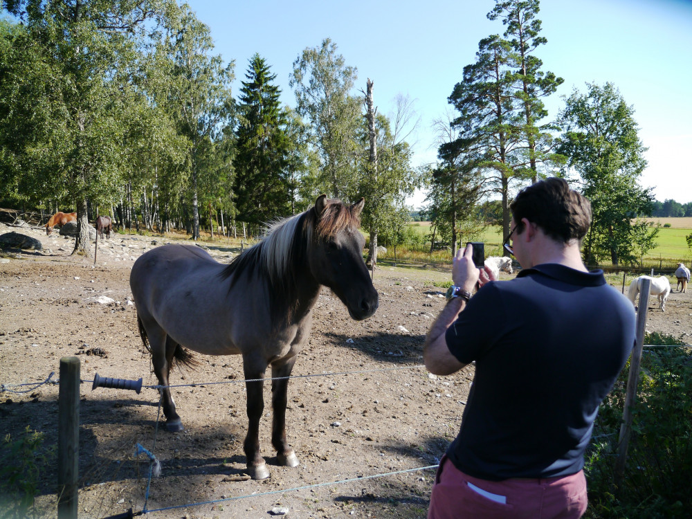 Countryside Shops, Local Food Tasting & Private Farm Visit from Stockholm