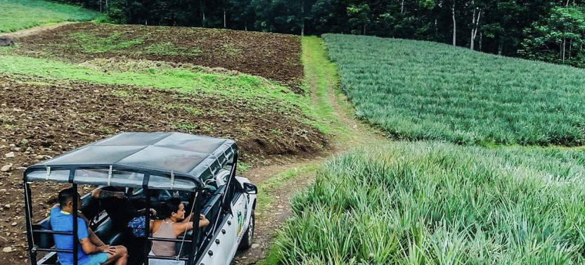4x4 Moorea Safari Tour with Hotel Transfers
