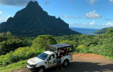 Moorea Safari Tours - Albert 4x4 Jeep Tours1