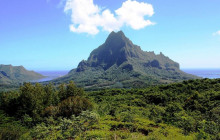 Moorea Safari Tours - Albert 4x4 Jeep Tours4