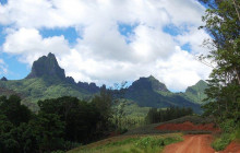 Moorea Safari Tours - Albert 4x4 Jeep Tours15