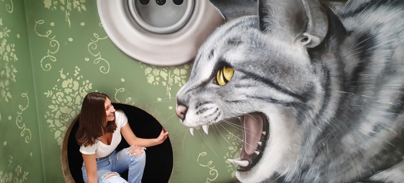 Skip-the-Line: Museum of Fantastic Illusions