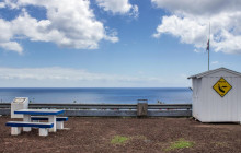 Azores Whale Watching TERRA AZUL5