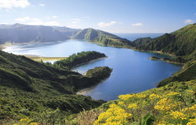 Azores Whale Watching TERRA AZUL1