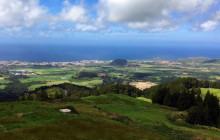 Azores Whale Watching TERRA AZUL3