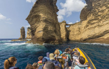 Azores Whale Watching TERRA AZUL1