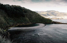 Azores Whale Watching TERRA AZUL7