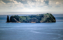 Azores Whale Watching TERRA AZUL8