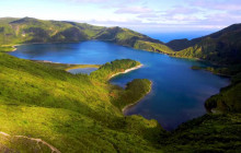 Azores Whale Watching TERRA AZUL5