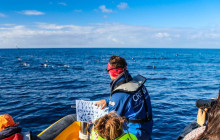 Azores Whale Watching TERRA AZUL1