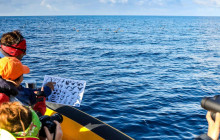 Azores Whale Watching TERRA AZUL5