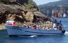 Azores Whale Watching TERRA AZUL6